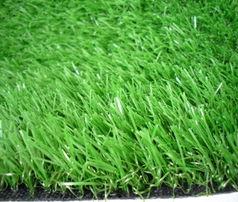 国产人人草,人人草,绿色健康生活新选择 第3张 国产人人草,人人草,绿色健康生活新选择 第3张